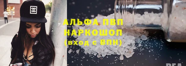спиды Магас