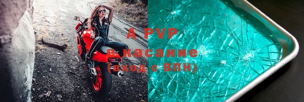 PSILOCYBIN Магадан